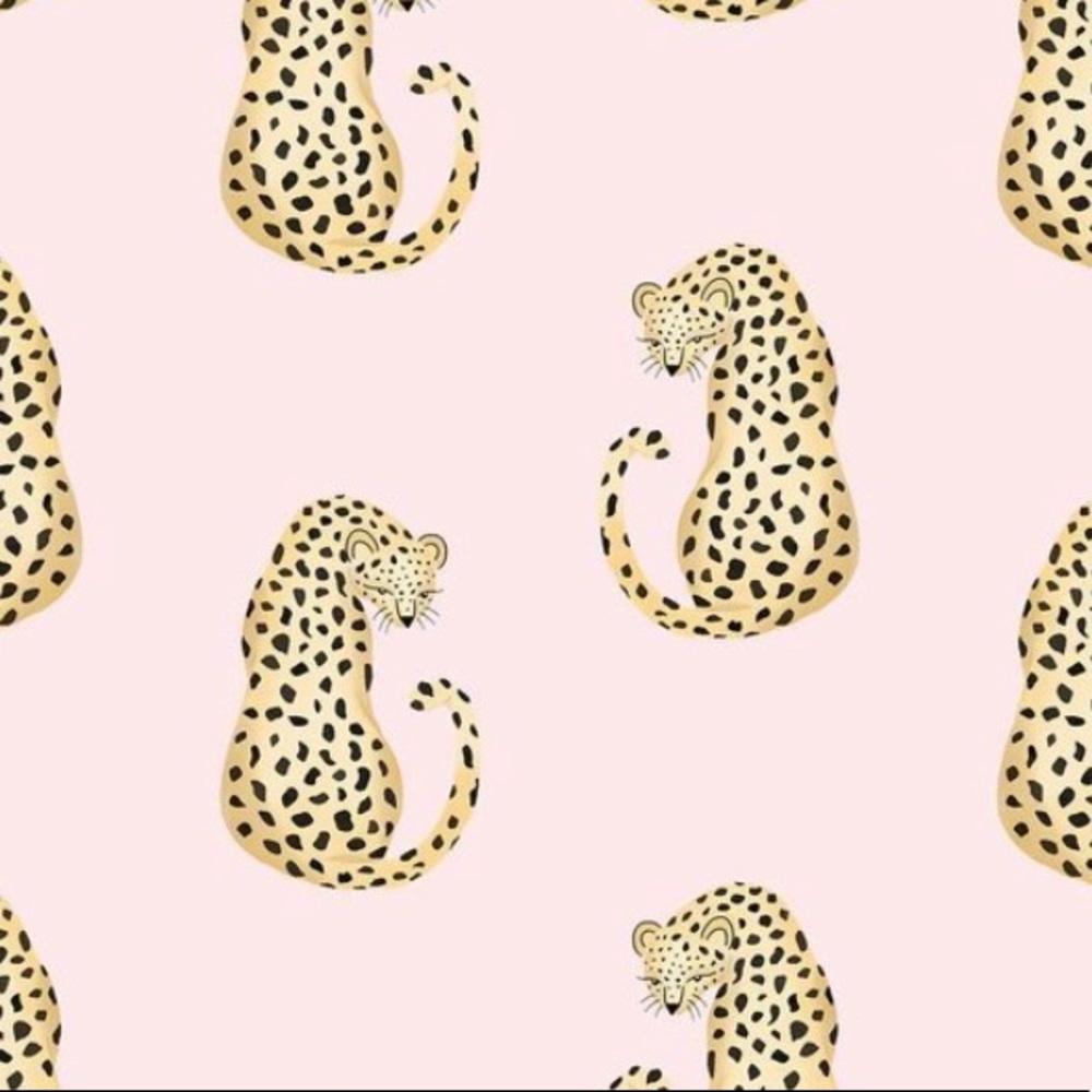 Meet your Posher, Gracie